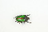 ( - BC-TB9093)  @13 [ ] Copyright (2012) Thierry Bouyer Research Collection of Thierry Bouyer