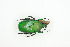  ( - BC-TB9101)  @11 [ ] Copyright (2012) Thierry Bouyer Research Collection of Thierry Bouyer