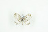  ( - BC-TB9169)  @12 [ ] Copyright (2012) Thierry Bouyer Research Collection of Thierry Bouyer