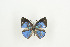  ( - BC-TB9177)  @12 [ ] Copyright (2012) Thierry Bouyer Research Collection of Thierry Bouyer