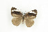  ( - BC-TB9302)  @12 [ ] Copyright (2012) Thierry Bouyer Research Collection of Thierry Bouyer