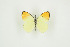  ( - BC-TB9368)  @13 [ ] Copyright (2012) Thierry Bouyer Research Collection of Thierry Bouyer