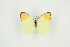  ( - BC-TB9369)  @12 [ ] Copyright (2012) Thierry Bouyer Research Collection of Thierry Bouyer