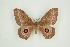  ( - BC-TB9452)  @13 [ ] Copyright (2012) Thierry Bouyer Research Collection of Thierry Bouyer