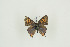  ( - BC-TB9518)  @13 [ ] Copyright (2012) Thierry Bouyer Research Collection of Thierry Bouyer