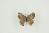  ( - BC-TB9520)  @12 [ ] Copyright (2012) Thierry Bouyer Research Collection of Thierry Bouyer
