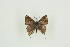  ( - BC-TB9537)  @12 [ ] Copyright (2012) Thierry Bouyer Research Collection of Thierry Bouyer