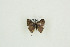  ( - BC-TB9540)  @12 [ ] Copyright (2012) Thierry Bouyer Research Collection of Thierry Bouyer