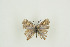  ( - BC-TB9553)  @11 [ ] Copyright (2012) Thierry Bouyer Research Collection of Thierry Bouyer
