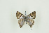  ( - BC-TB9574)  @12 [ ] Copyright (2012) Thierry Bouyer Research Collection of Thierry Bouyer