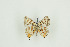  ( - BC-TB9583)  @13 [ ] Copyright (2012) Thierry Bouyer Research Collection of Thierry Bouyer