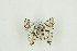 ( - BC-TB9588)  @13 [ ] Copyright (2012) Thierry Bouyer Research Collection of Thierry Bouyer