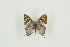  ( - BC-TB9591)  @11 [ ] Copyright (2012) Thierry Bouyer Research Collection of Thierry Bouyer