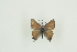  ( - BC-TB9634)  @13 [ ] Copyright (2012) Thierry Bouyer Research Collection of Thierry Bouyer
