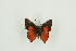  ( - BC-TB9653)  @11 [ ] Copyright (2012) Thierry Bouyer Research Collection of Thierry Bouyer