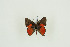  ( - BC-TB9654)  @11 [ ] Copyright (2012) Thierry Bouyer Research Collection of Thierry Bouyer
