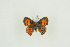  ( - BC-TB9690)  @13 [ ] Copyright (2012) Thierry Bouyer Research Collection of Thierry Bouyer