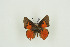  ( - BC-TB9696)  @13 [ ] Copyright (2012) Thierry Bouyer Research Collection of Thierry Bouyer