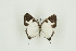  ( - BC-TB9710)  @12 [ ] Copyright (2012) Thierry Bouyer Research Collection of Thierry Bouyer