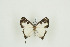  ( - BC-TB9712)  @12 [ ] Copyright (2012) Thierry Bouyer Research Collection of Thierry Bouyer
