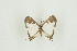  ( - BC-TB9713)  @12 [ ] Copyright (2012) Thierry Bouyer Research Collection of Thierry Bouyer
