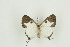  ( - BC-TB9714)  @12 [ ] Copyright (2012) Thierry Bouyer Research Collection of Thierry Bouyer