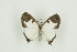  ( - BC-TB9715)  @12 [ ] Copyright (2012) Thierry Bouyer Research Collection of Thierry Bouyer