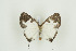  ( - BC-TB9719)  @11 [ ] Copyright (2012) Thierry Bouyer Research Collection of Thierry Bouyer