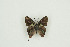  ( - BC-TB9812)  @12 [ ] Copyright (2012) Thierry Bouyer Research Collection of Thierry Bouyer