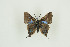  ( - BC-TB9819)  @12 [ ] Copyright (2012) Thierry Bouyer Research Collection of Thierry Bouyer