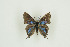  ( - BC-TB9820)  @12 [ ] Copyright (2012) Thierry Bouyer Research Collection of Thierry Bouyer