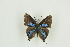  ( - BC-TB9821)  @12 [ ] Copyright (2012) Thierry Bouyer Research Collection of Thierry Bouyer