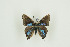  ( - BC-TB9822)  @12 [ ] Copyright (2012) Thierry Bouyer Research Collection of Thierry Bouyer