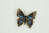  ( - BC-TB9823)  @12 [ ] Copyright (2012) Thierry Bouyer Research Collection of Thierry Bouyer