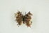  ( - BC-TB9829)  @12 [ ] Copyright (2012) Thierry Bouyer Research Collection of Thierry Bouyer