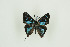  ( - BC-TB9832)  @13 [ ] Copyright (2012) Thierry Bouyer Research Collection of Thierry Bouyer