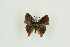  ( - BC-TB9840)  @14 [ ] Copyright (2012) Thierry Bouyer Research Collection of Thierry Bouyer