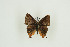  ( - BC-TB9841)  @11 [ ] Copyright (2012) Thierry Bouyer Research Collection of Thierry Bouyer