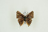  ( - BC-TB9842)  @11 [ ] Copyright (2012) Thierry Bouyer Research Collection of Thierry Bouyer