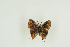  ( - BC-TB9843)  @11 [ ] Copyright (2012) Thierry Bouyer Research Collection of Thierry Bouyer