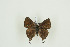  ( - BC-TB9844)  @11 [ ] Copyright (2012) Thierry Bouyer Research Collection of Thierry Bouyer