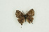  ( - BC-TB9845)  @14 [ ] Copyright (2012) Thierry Bouyer Research Collection of Thierry Bouyer