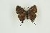  ( - BC-TB9846)  @11 [ ] Copyright (2012) Thierry Bouyer Research Collection of Thierry Bouyer