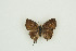  ( - BC-TB9847)  @11 [ ] Copyright (2012) Thierry Bouyer Research Collection of Thierry Bouyer