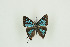  ( - BC-TB9850)  @13 [ ] Copyright (2012) Thierry Bouyer Research Collection of Thierry Bouyer