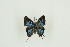  ( - BC-TB9854)  @13 [ ] Copyright (2012) Thierry Bouyer Research Collection of Thierry Bouyer