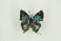  ( - BC-TB9858)  @14 [ ] Copyright (2012) Thierry Bouyer Research Collection of Thierry Bouyer