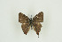  ( - BC-TB9860)  @13 [ ] Copyright (2012) Thierry Bouyer Research Collection of Thierry Bouyer