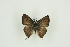  ( - BC-TB9861)  @13 [ ] Copyright (2012) Thierry Bouyer Research Collection of Thierry Bouyer