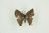  ( - BC-TB9862)  @13 [ ] Copyright (2012) Thierry Bouyer Research Collection of Thierry Bouyer